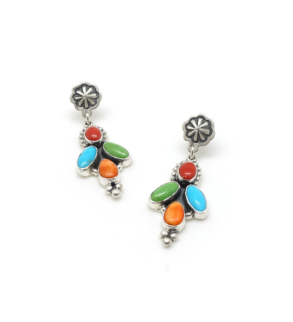 Multi-colored Bird in Flight