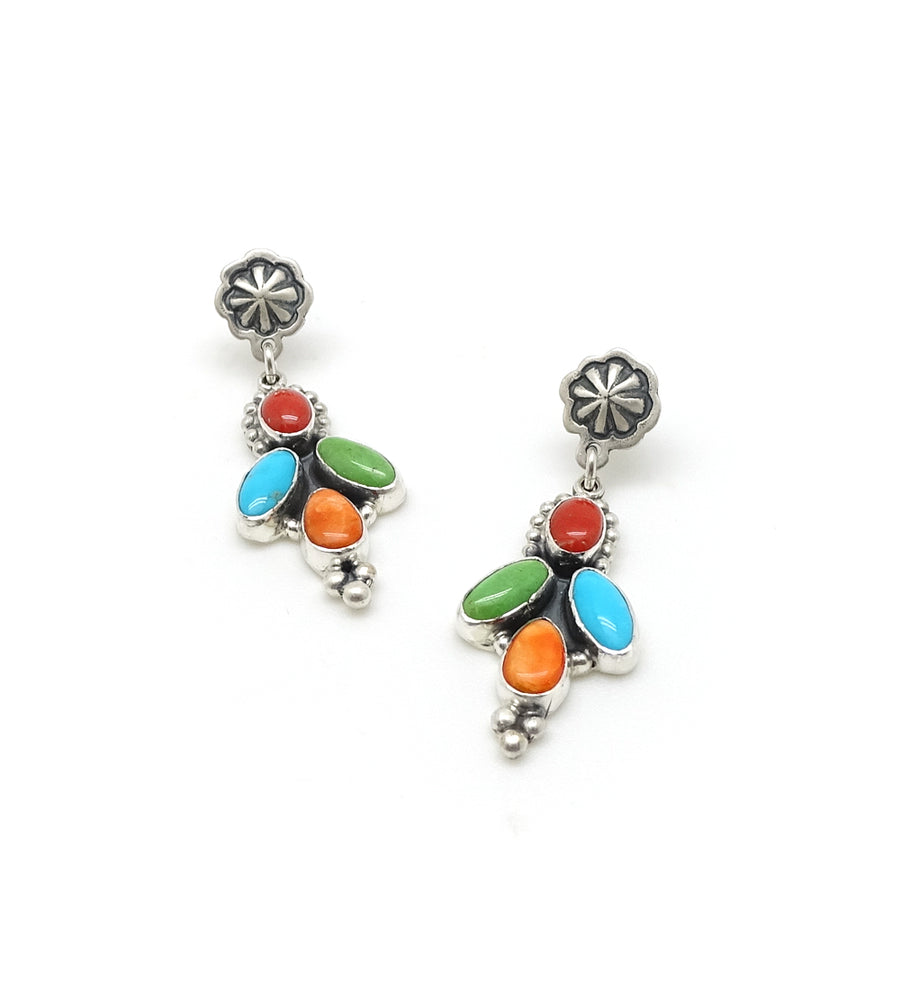 Multi-colored Bird in Flight